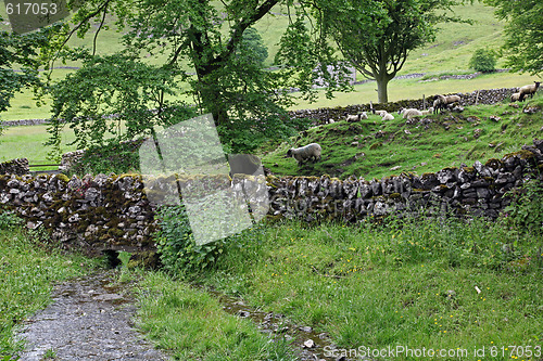 Image of Dry stone wall in Derbyshire England