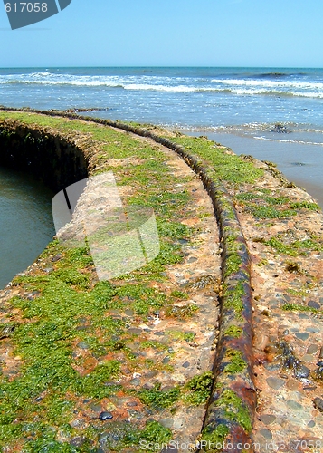 Image of Old Tracks By The Ocean