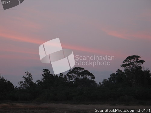 Image of Trees and skies 2. Larnaca. Cyprus