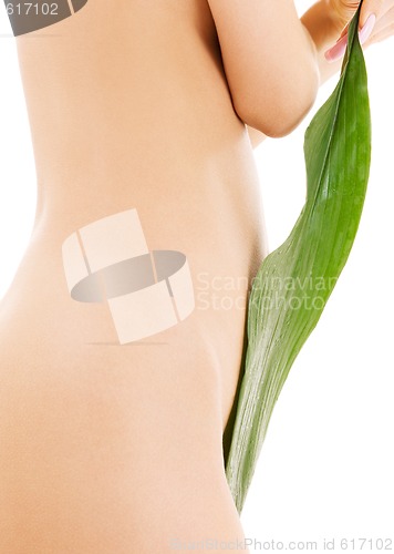 Image of female torso with green leaf over white