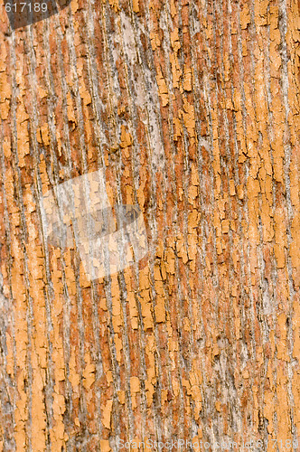 Image of old grungy wood background texture