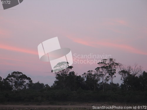 Image of Morning trees. Larnaca. Cyprus