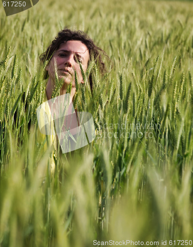 Image of Woman in barley field