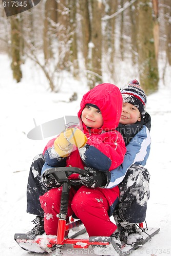 Image of Brothers in sleighes