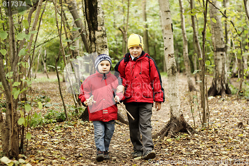 Image of Walking in autumn forest