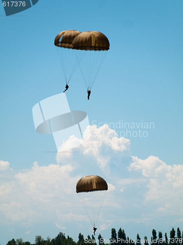 Image of Group of parachutists