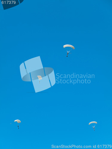 Image of Group of parachutists