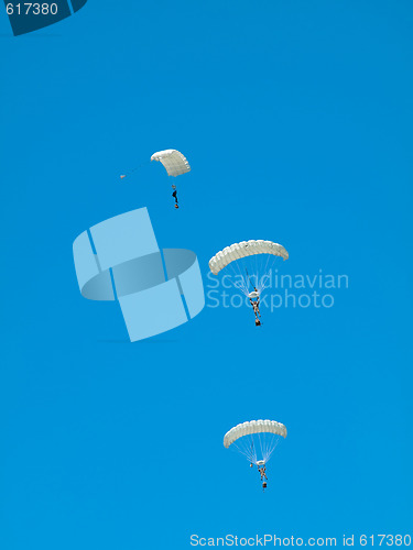 Image of Group of parachutists