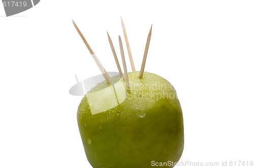 Image of Prickly green apple