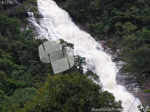 Image of Rainforest Waterfall