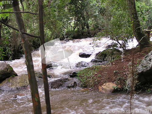 Image of Mountain stream