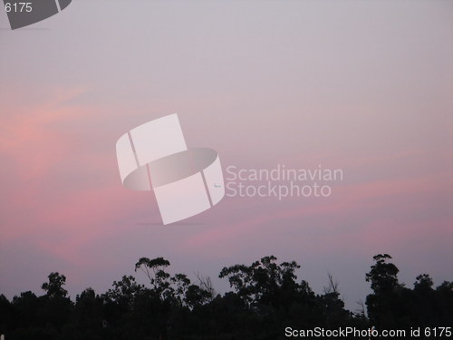 Image of Trees and skies 3. Larnaca. Cyprus