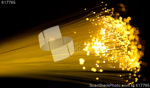 Image of fiber optics