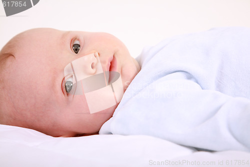 Image of Adorable newborn portrait