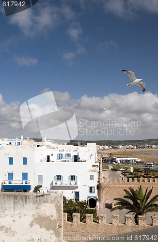 Image of rooftop view beach and buildings essaouira morocco