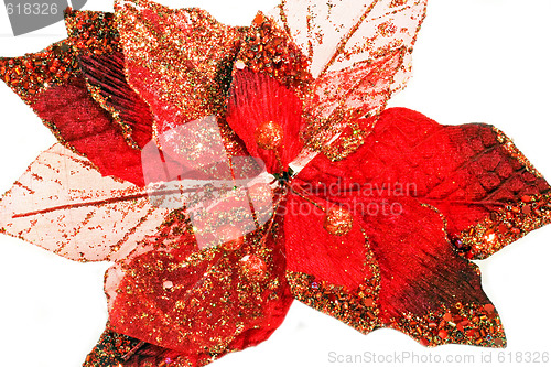 Image of Red leaf