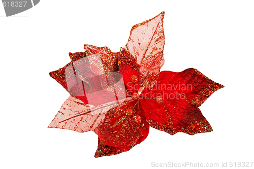 Image of Red leaf isolated