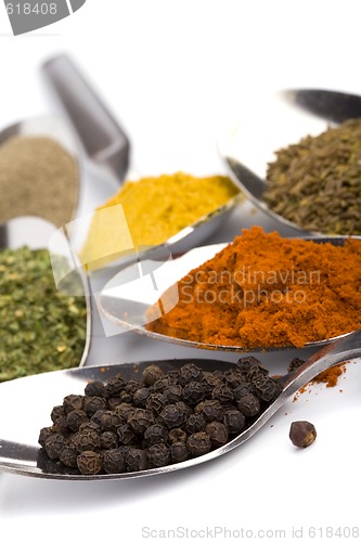 Image of various spices