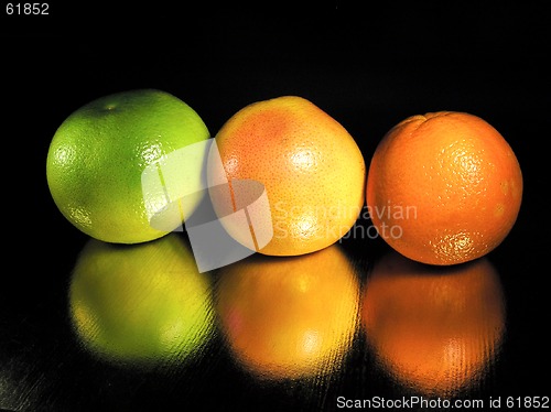 Image of Grapfs &orange
