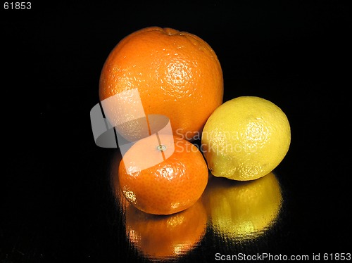 Image of Citruses