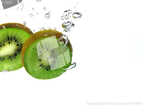 Image of Splash kiwi