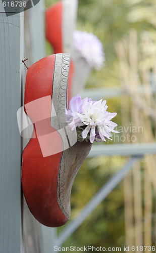 Image of Clog and Flowers