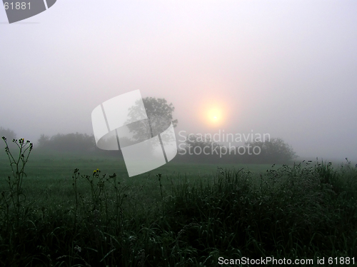 Image of Foggi day