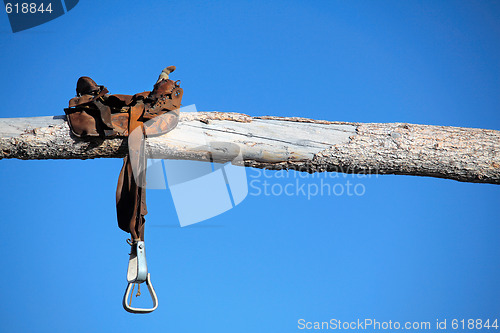 Image of saddle on a log