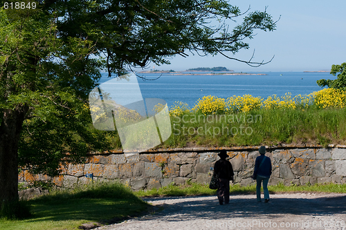 Image of Walking on the island