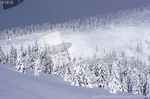 Image of Ski slope covered with deep snow