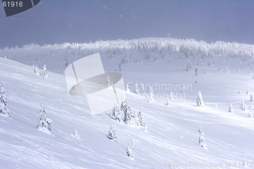 Image of snow covered mountain slope