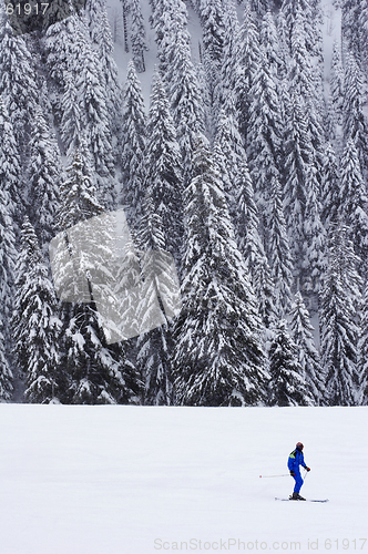 Image of lone skier