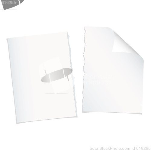 Image of single page torn blank