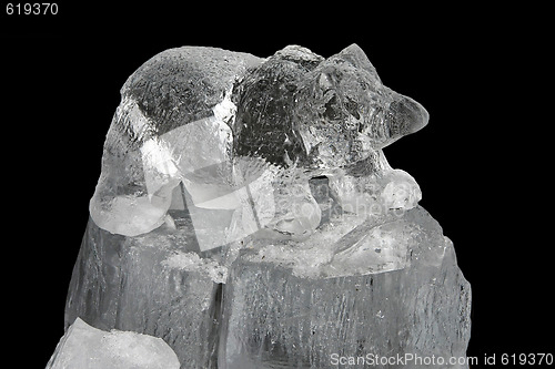 Image of Ice bear