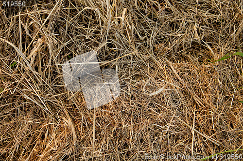 Image of straw structure