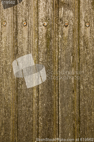 Image of Wood Texture