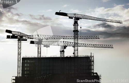 Image of Construction cranes 