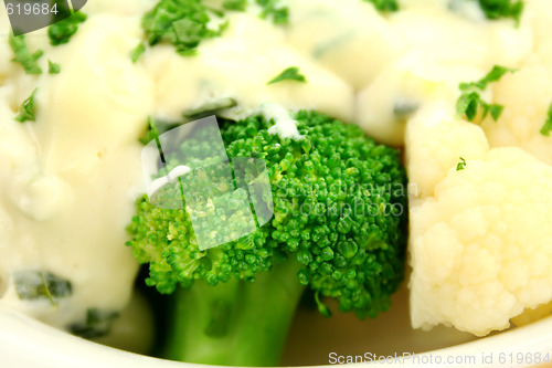 Image of Broccoli With White Sauce