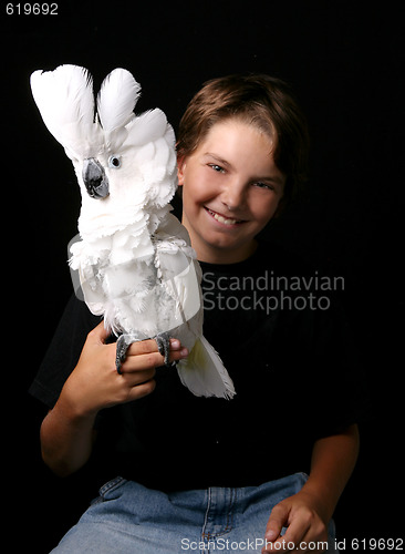 Image of Young Child Holding an Excited Umbrella Cockatoo