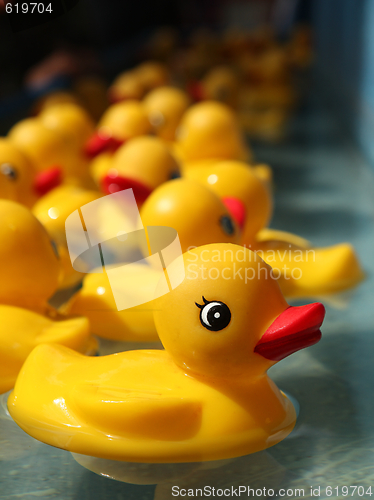 Image of Rubber Duckies Floating in a Carnival Game