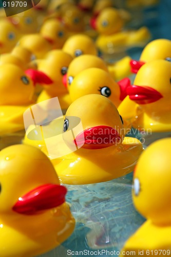 Image of Abstract Rubber Dock Toys