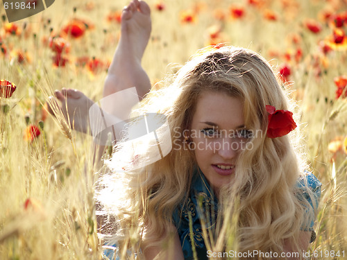 Image of Barefoot blonde in poppies