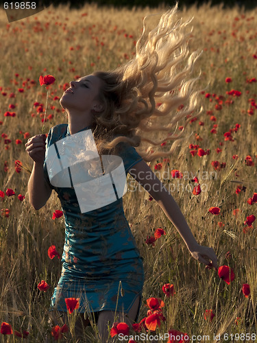 Image of Blonde in poppy field