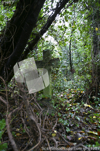 Image of cross in overgrown grave yard