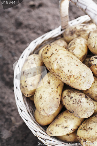 Image of Potatoes