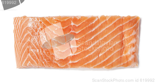 Image of Salmon