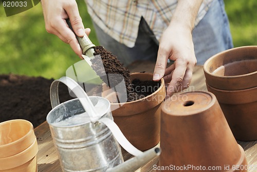 Image of Potting