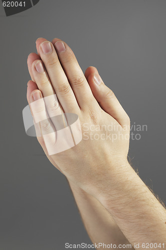 Image of Praying hands