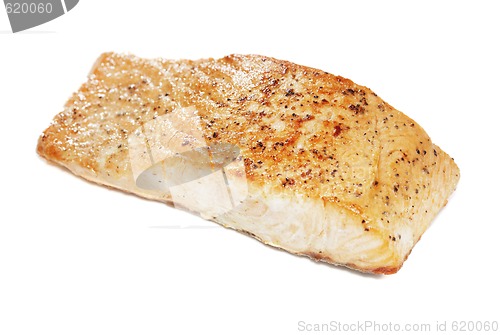Image of Salmon