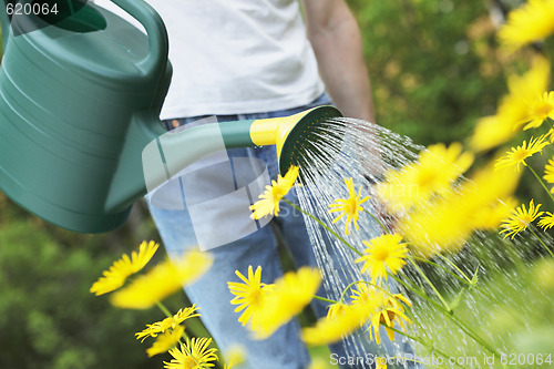 Image of Watering